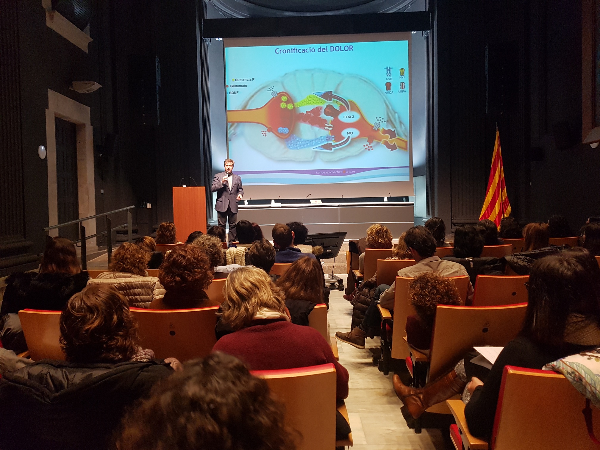 Professional parlant durant la reunió a l'Auditori Josep Irla de la Generalitat. 