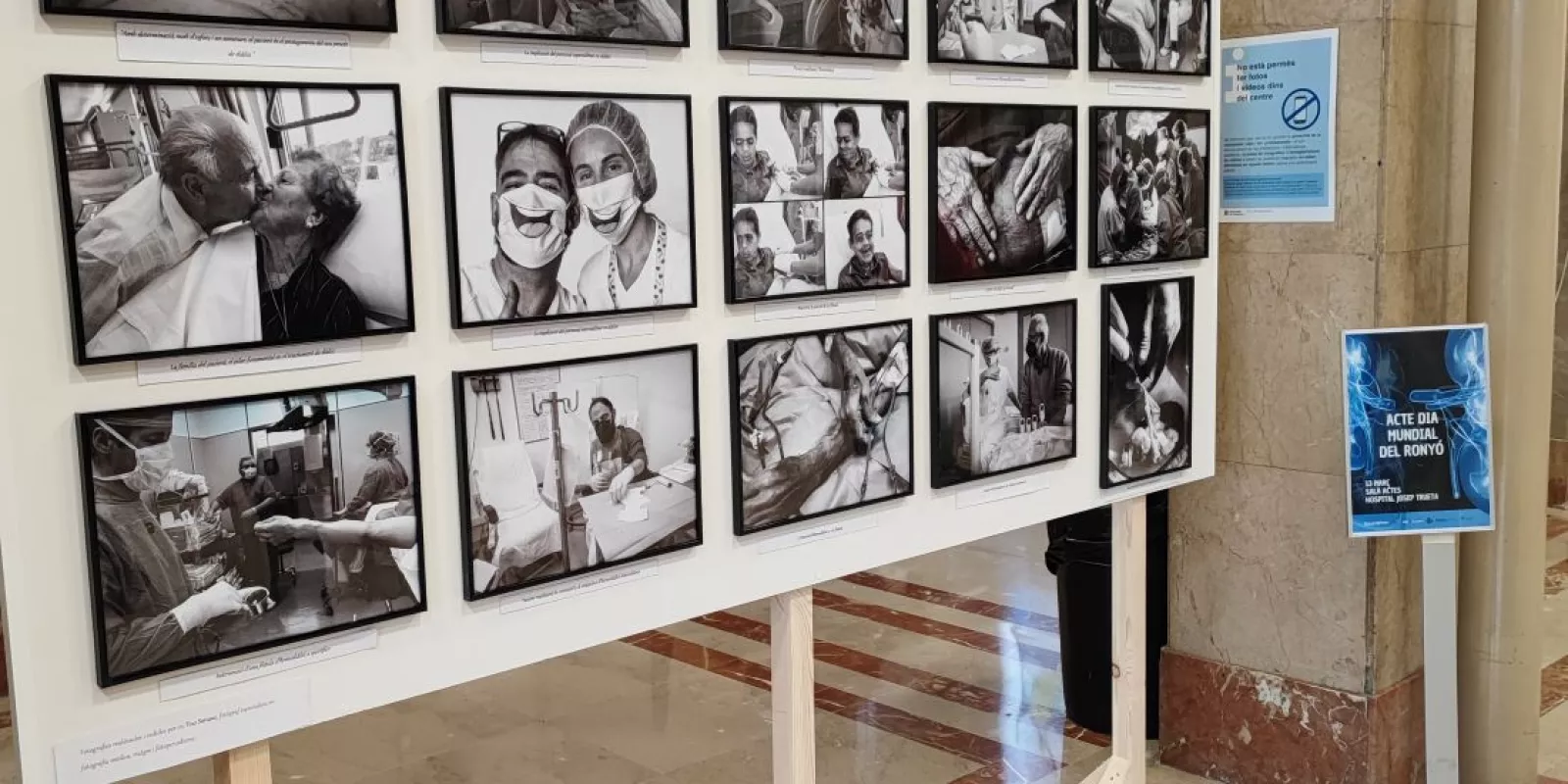 Exposició vinculada als actes del Dia Mundial del Ronyó al Trueta