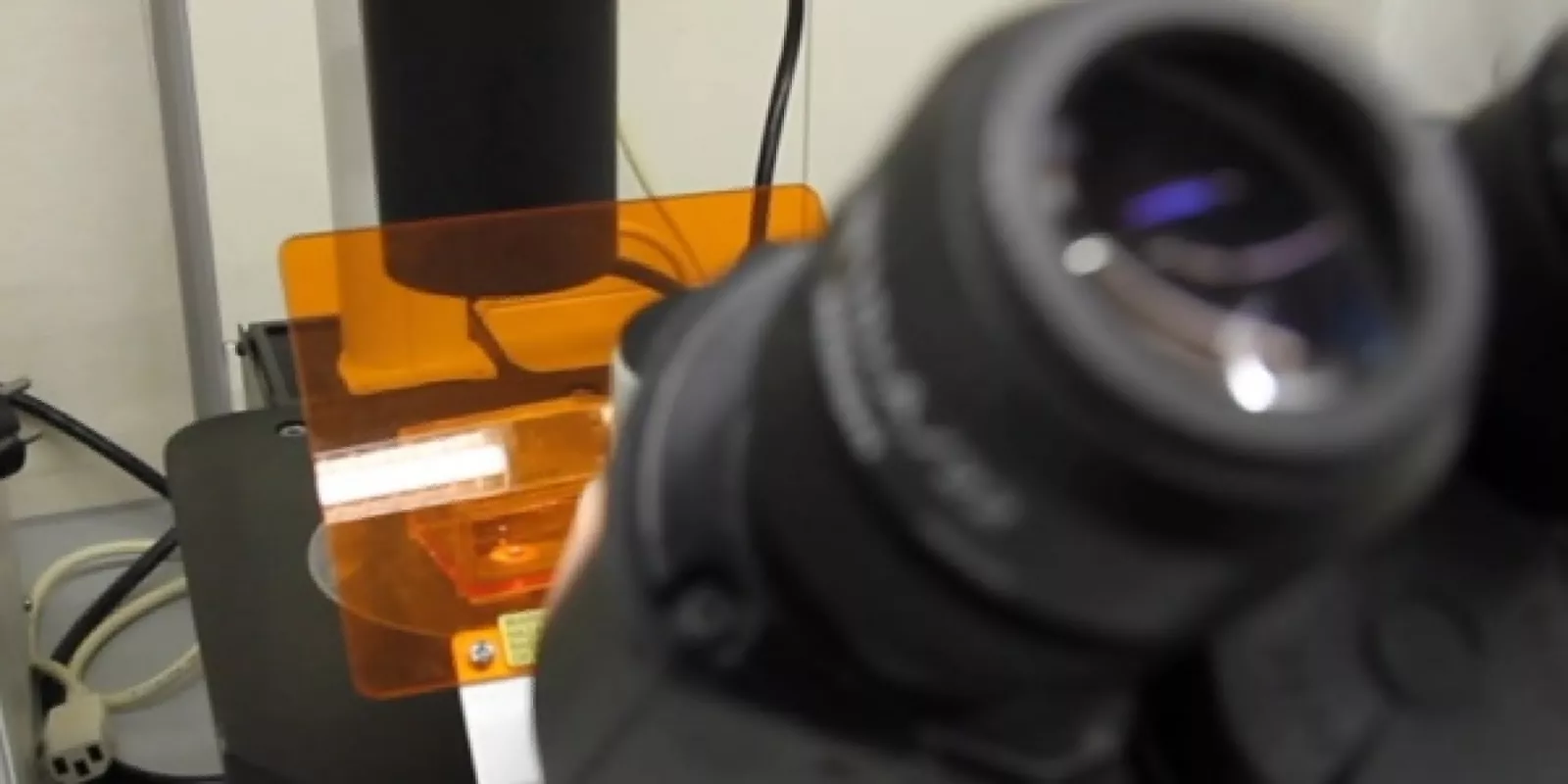 Xarxa Integral de Genètica de l’ICS (XIGENICS)