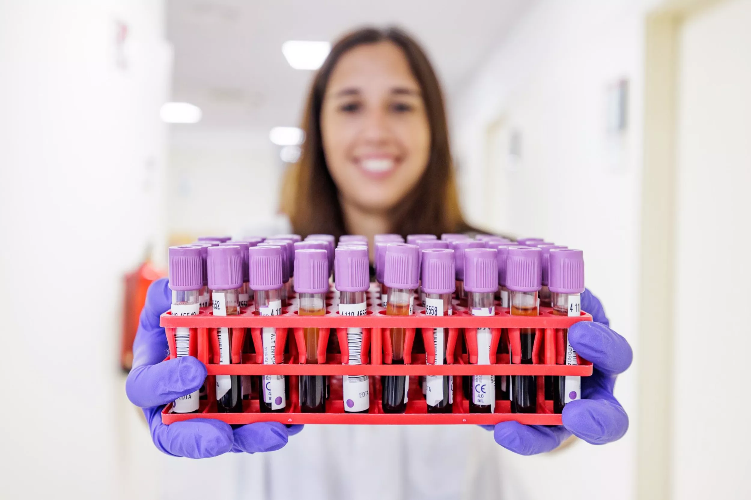 Professional de laboratori amb guants lila sosté un suport amb tubs d’assaig plens de mostres de sang