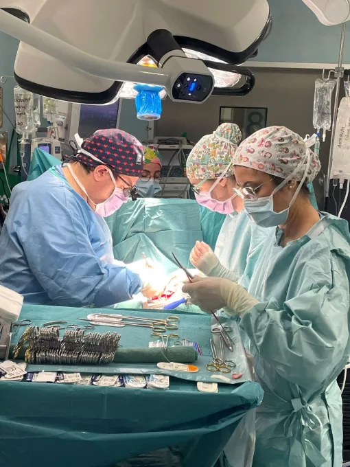 Intervenció del Servei de Cirurgia Cardíaca de l'Hospital Trueta per implantar una pròtesi valvular mitral.