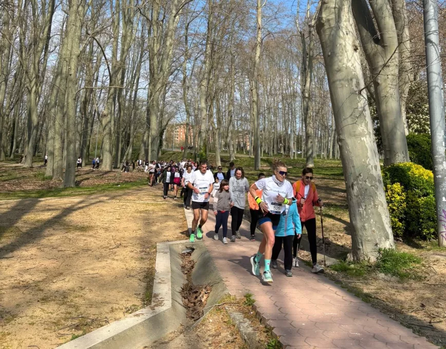 Recorregut de la cursa i marxa solidària dels 70 anys del Trueta