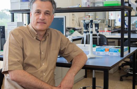 José Manuel Fernández-Real, guardonat per la Fundació Lilly de Recerca Biomèdica 2025