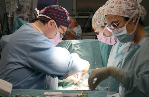 Intervenció del Servei de Cirurgia Cardíaca de l'Hospital Trueta per implantar una pròtesi valvular mitral.