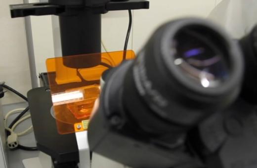 Xarxa Integral de Genètica de l’ICS (XIGENICS)