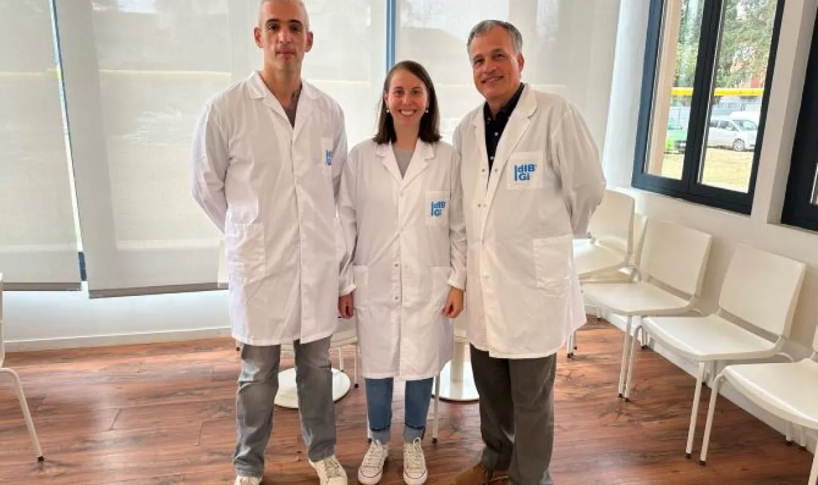 DIBGI: Mayneris, Castells, Fernandez-Real