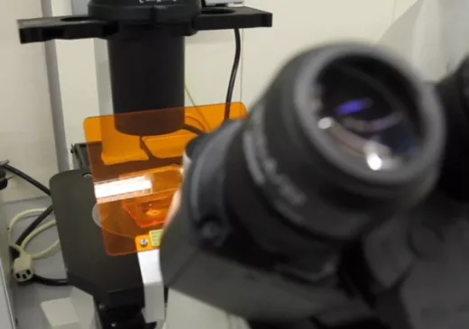 Xarxa Integral de Genètica de l’ICS (XIGENICS)