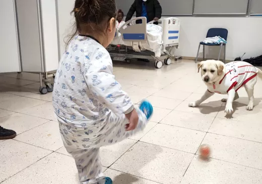 La Canya, la gossa oficial del Girona FC, juga amb una nena ingressada a l'àrea de pediatria del Trueta