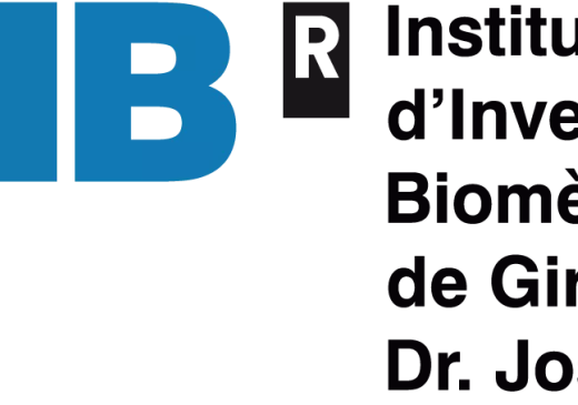 IDIBGI_Logo_positiu_horitzontal.png
