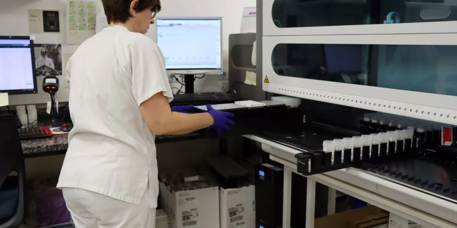  Programa de cribratge de càncer de coll uterí a la Regió Sanitària de Girona 