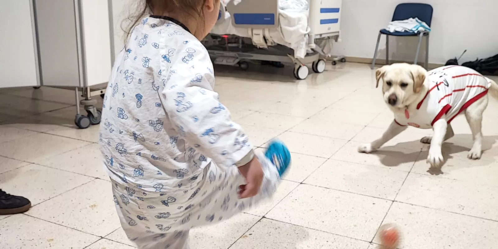 La Canya, la gossa oficial del Girona FC, juga amb una nena ingressada a l'àrea de pediatria del Trueta