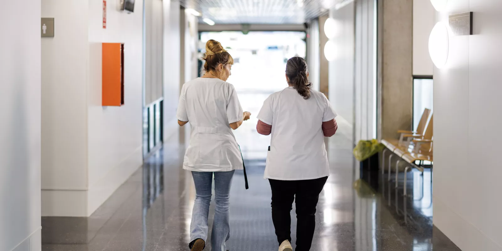 professionals de l'atencio primaria ics girona