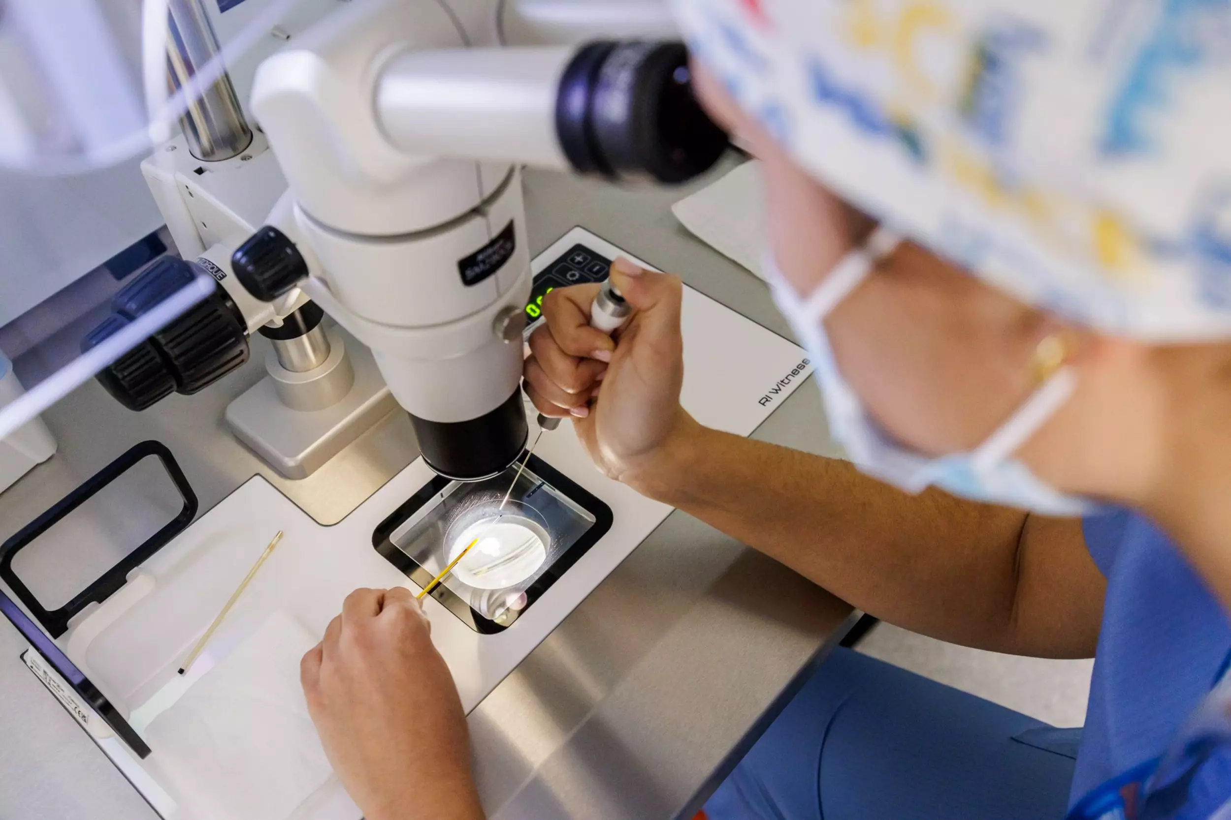 Metge observant amb un microscopi