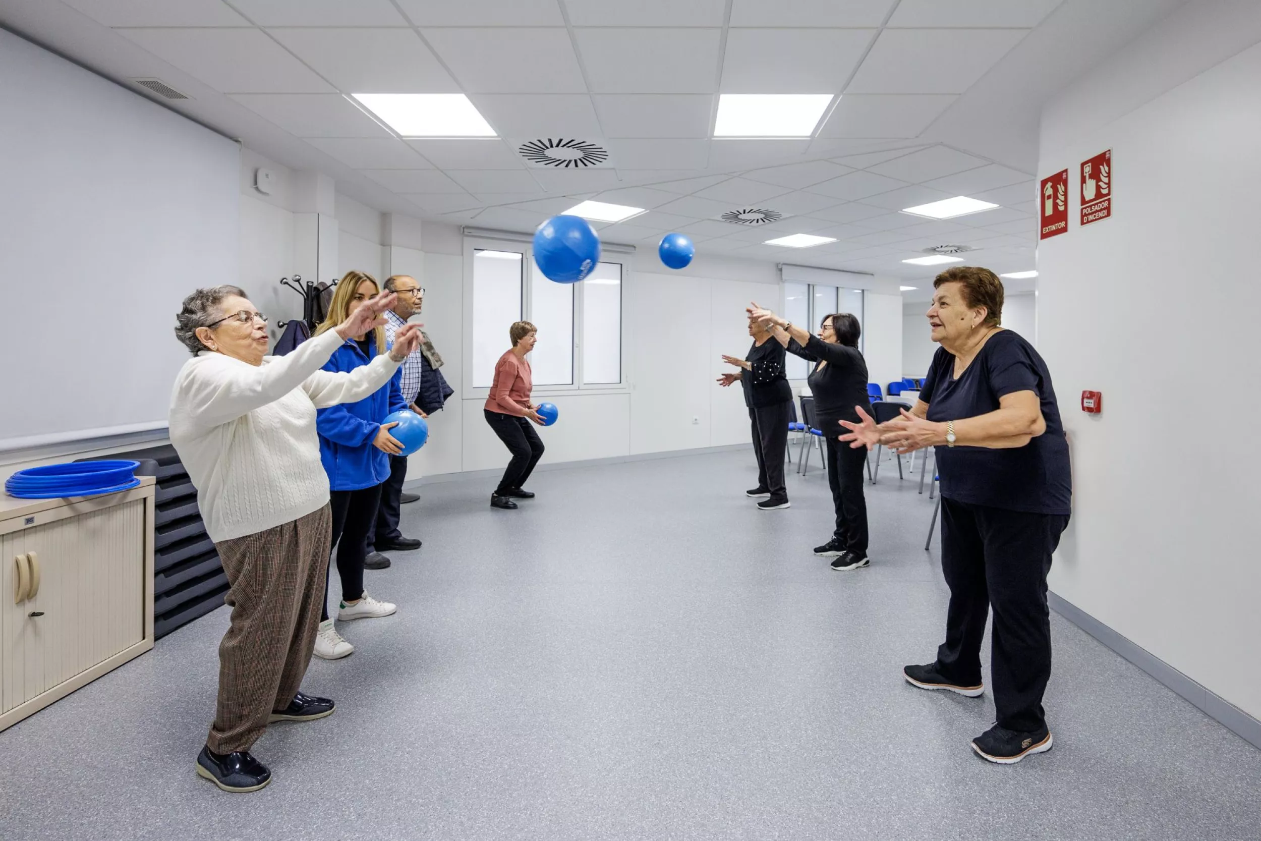 Grup de persones grans fent exercicis amb pilotes en una sala de teràpia