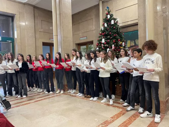 Decoració Arbre de Nadal Trueta 2024