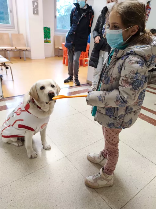 La Canya, la gossa oficial del Girona FC, durant la visita a l'àrea de pediatria del Trueta.