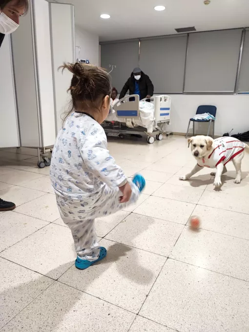 La Canya, la gossa oficial del Girona FC, durant la visita a l'àrea de pediatria del Trueta.