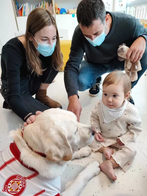 La Canya, la gossa oficial del Girona FC, durant la visita a l'àrea de pediatria del Trueta.