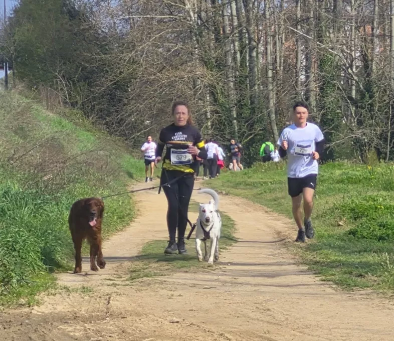 Recorregut cursa i marxa solidària dels 70 anys del Trueta