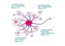 cartell del cicle de conferències sobre les malalties neurodegeneratives