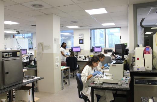 laboratori4.jpg