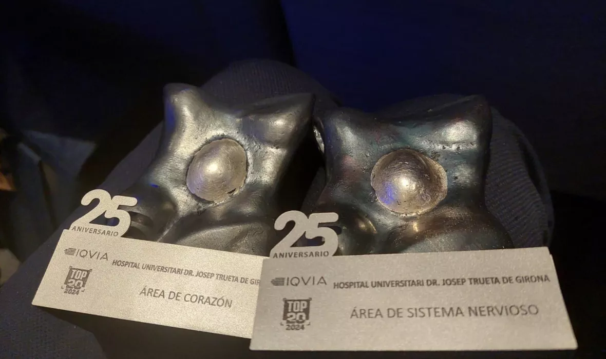 Premis Hospitals Top 20 de l'edició 2024