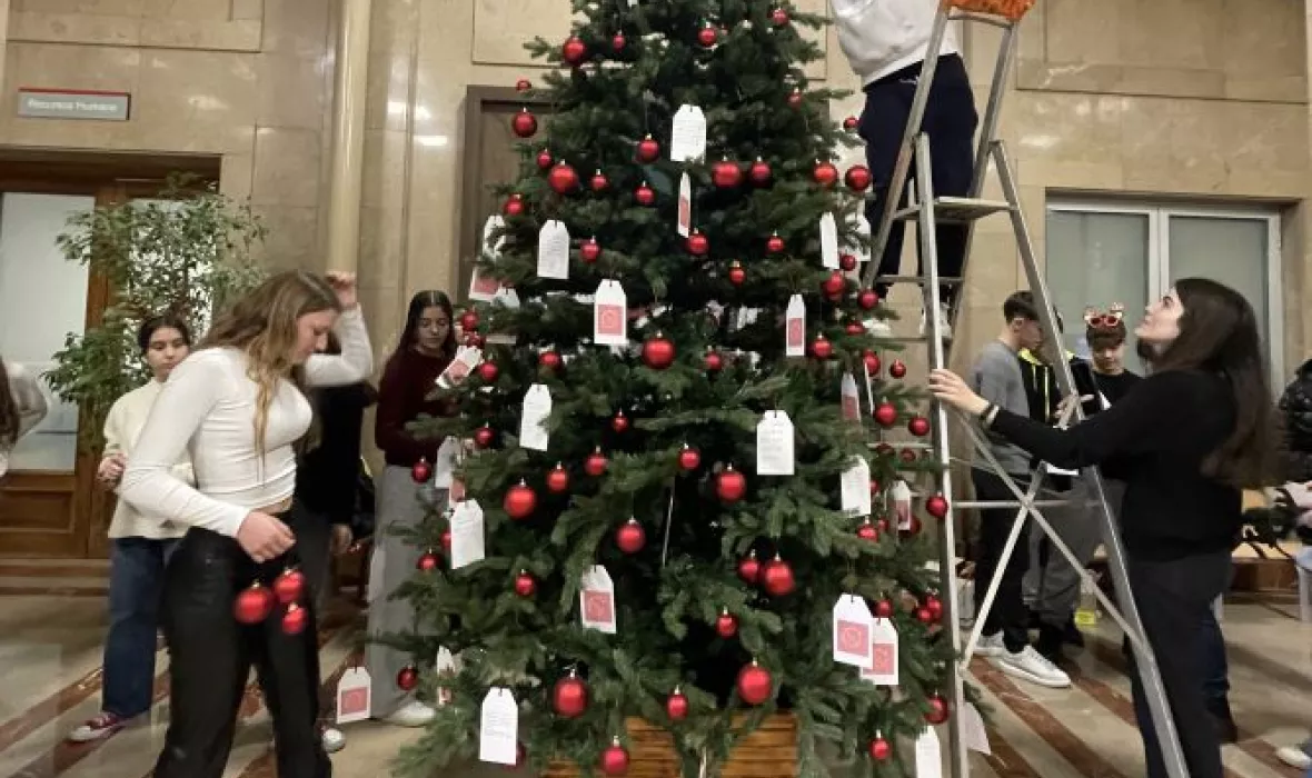 decoracio-arbre-de-nadal-trueta-2024