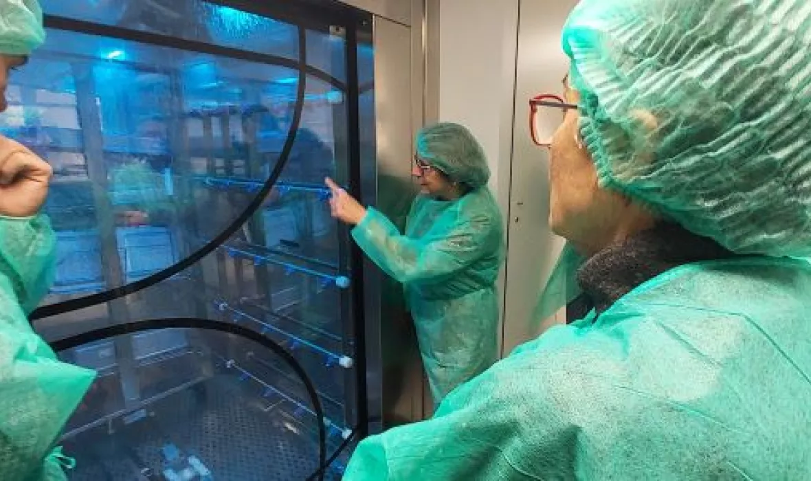 La consellera de Salut, Olga Pané, durant la visita a l'àrea d'esterilització del Trueta