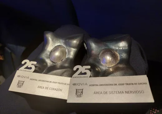 Premis Hospitals Top 20 de l'edició 2024