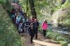 Gent caminant durant el Dia Mundial de l'Activitat Física