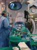professionals del Servei d’Angiologia i Cirurgia Vascular de l’hospital Trueta implantant endopròtesis aòrtiques